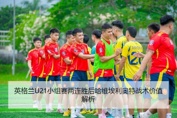 ying-ge-lan-xiao-zu-sai-liang-lian-sheng-hou-ha-wei-ai-li-ao-te-zhan-shu-jia-zhi-jie-xi-1-608.jpg